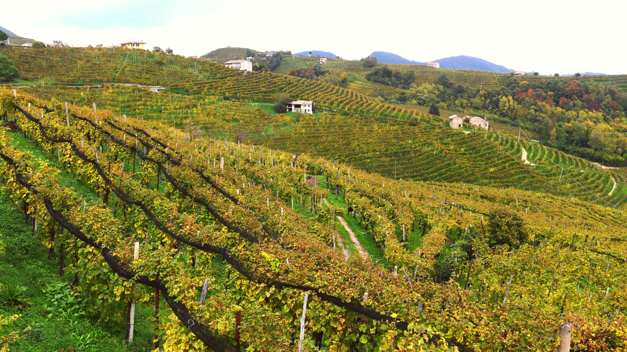 Hügel von Valdobbiadene, Land des Prosecco